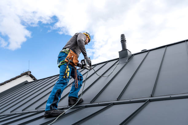 Best Sheet Metal Roofing  in Tifton, GA